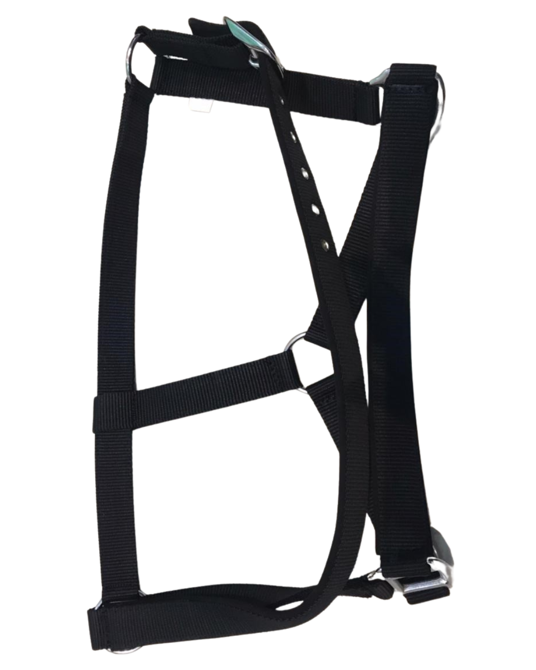 DS Padded Halter