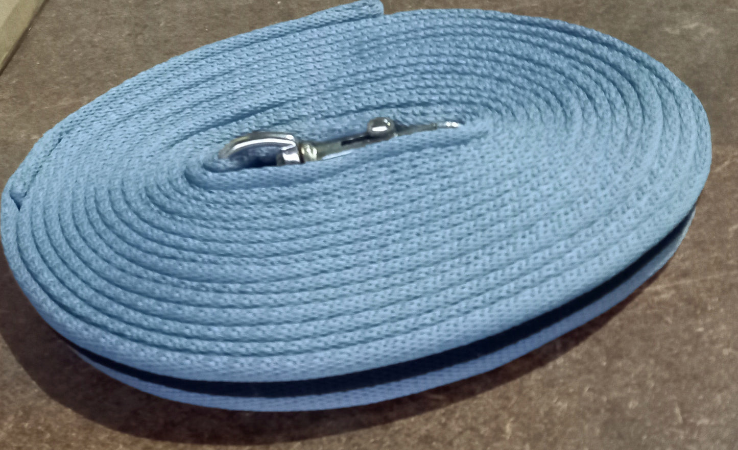 DS Padded Lunge Lead