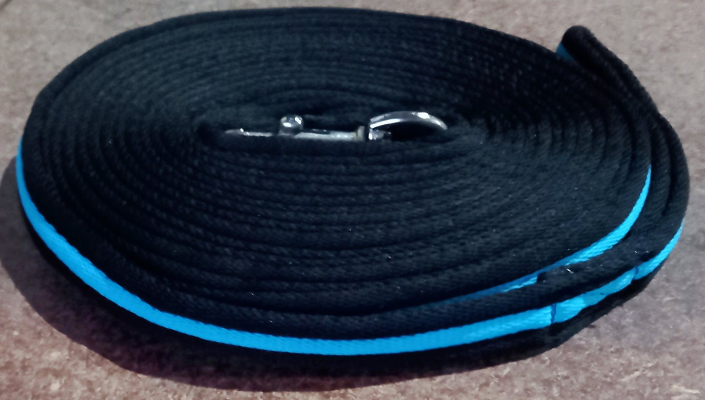 DS Padded Lunge Lead