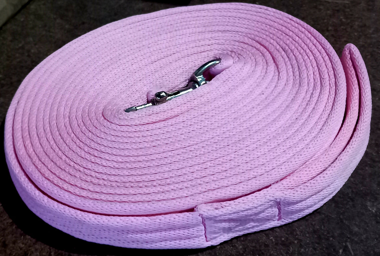 DS Padded Lunge Lead