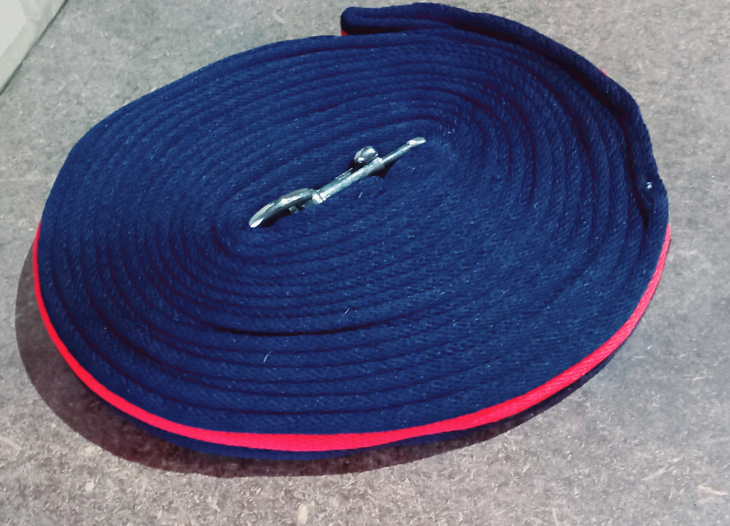 DS Padded Lunge Lead