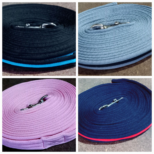 DS Padded Lunge Lead