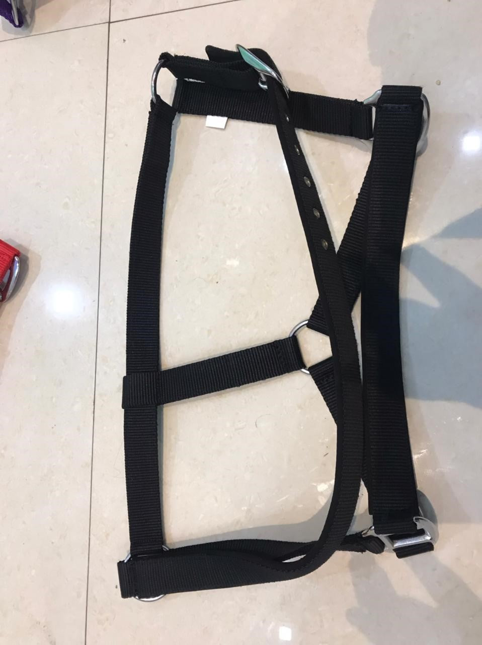 DS Padded Halter