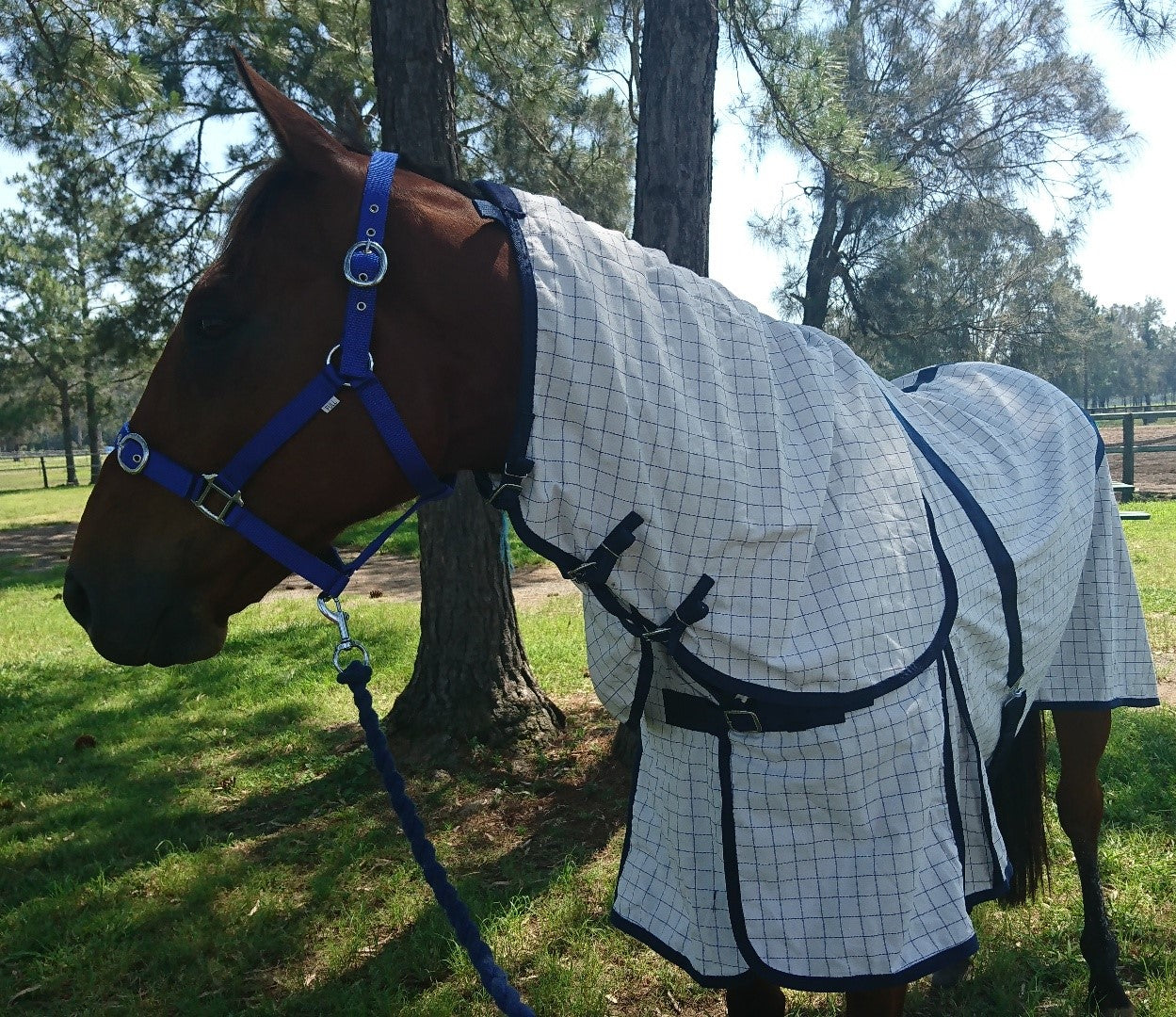 DS Year Round Combo Denver Saddlery