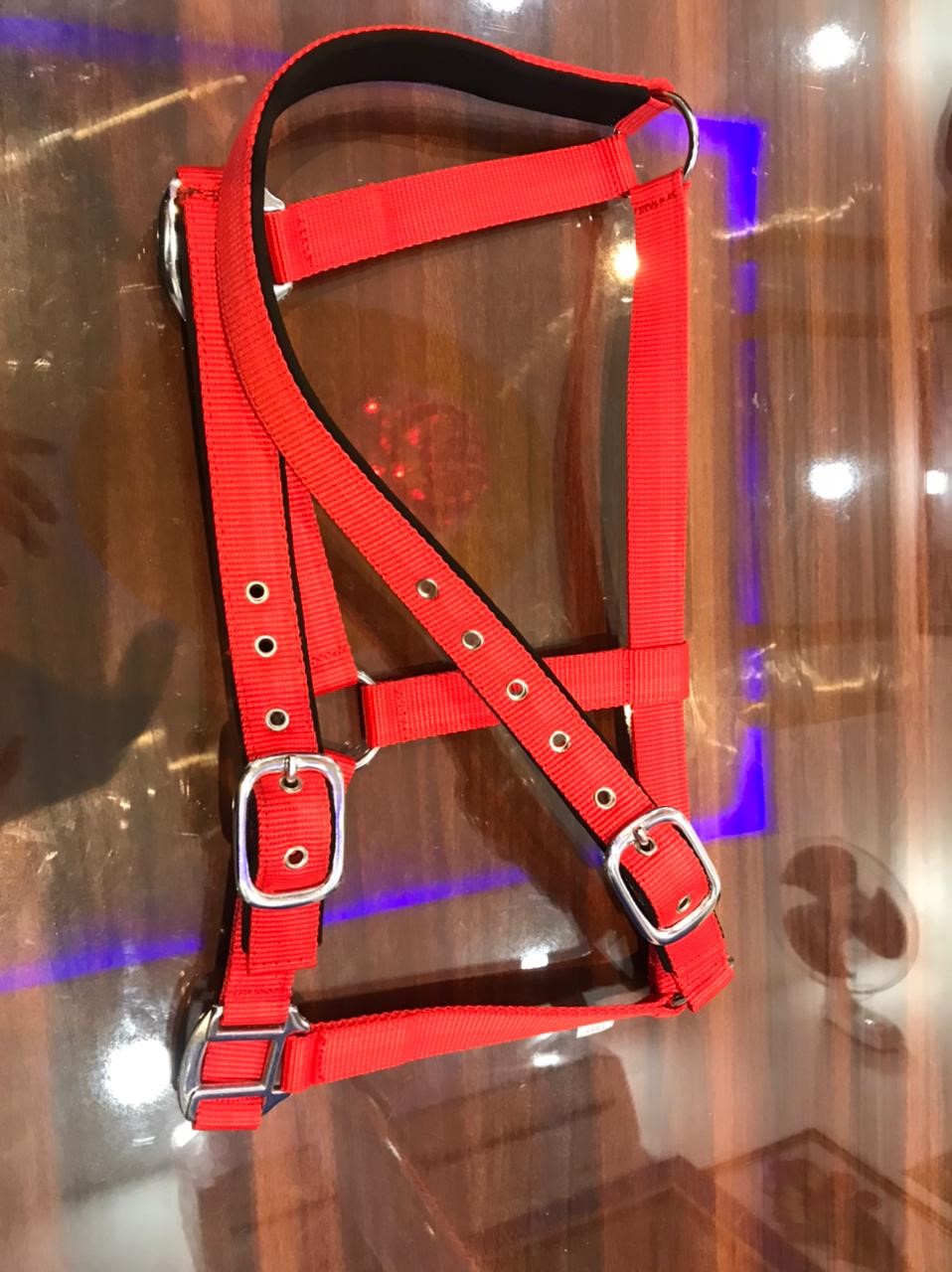 DS Padded Halter