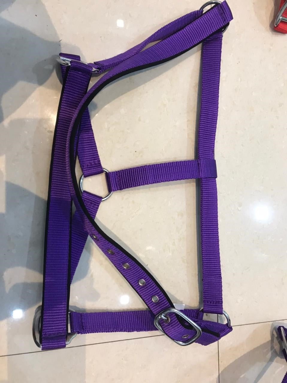 DS Padded Halter