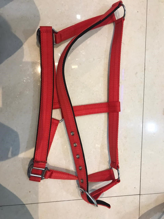 DS Padded Halter