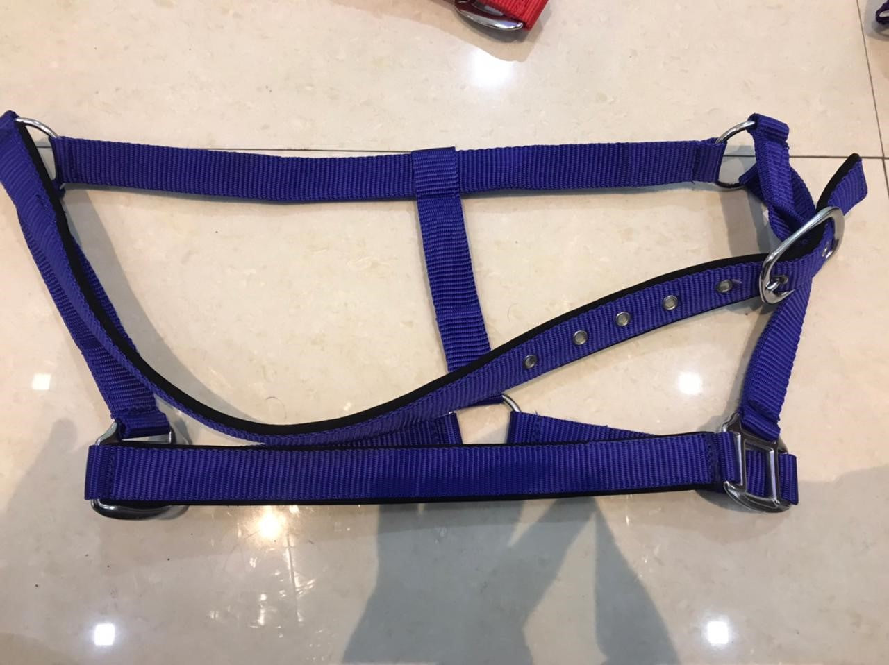 DS Padded Halter