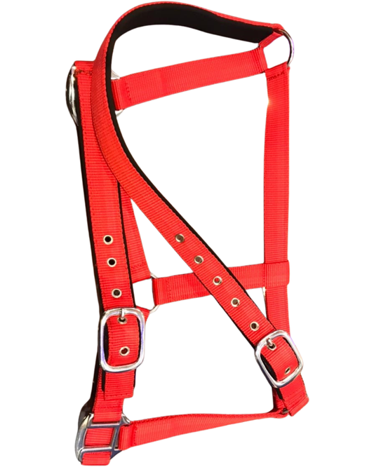 DS Padded Halter
