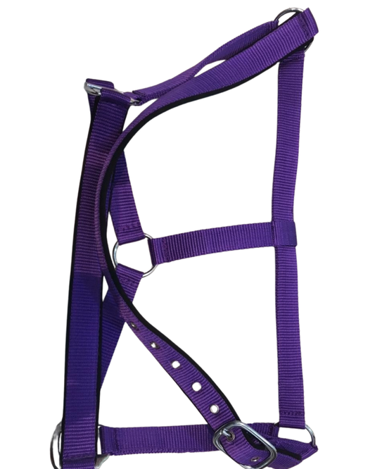 DS Padded Halter