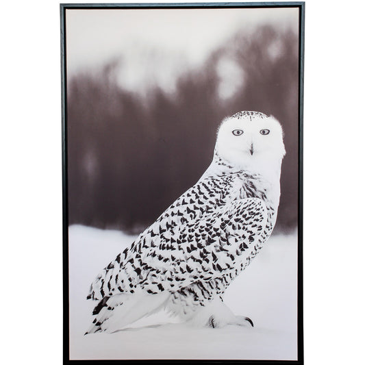 LV Framed Canvas Snowy Owl