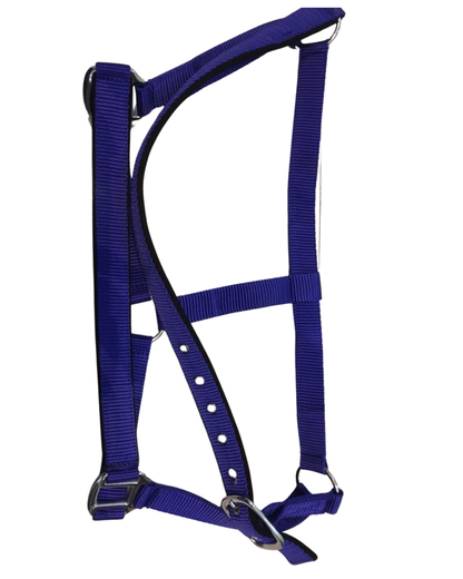 DS Padded Halter