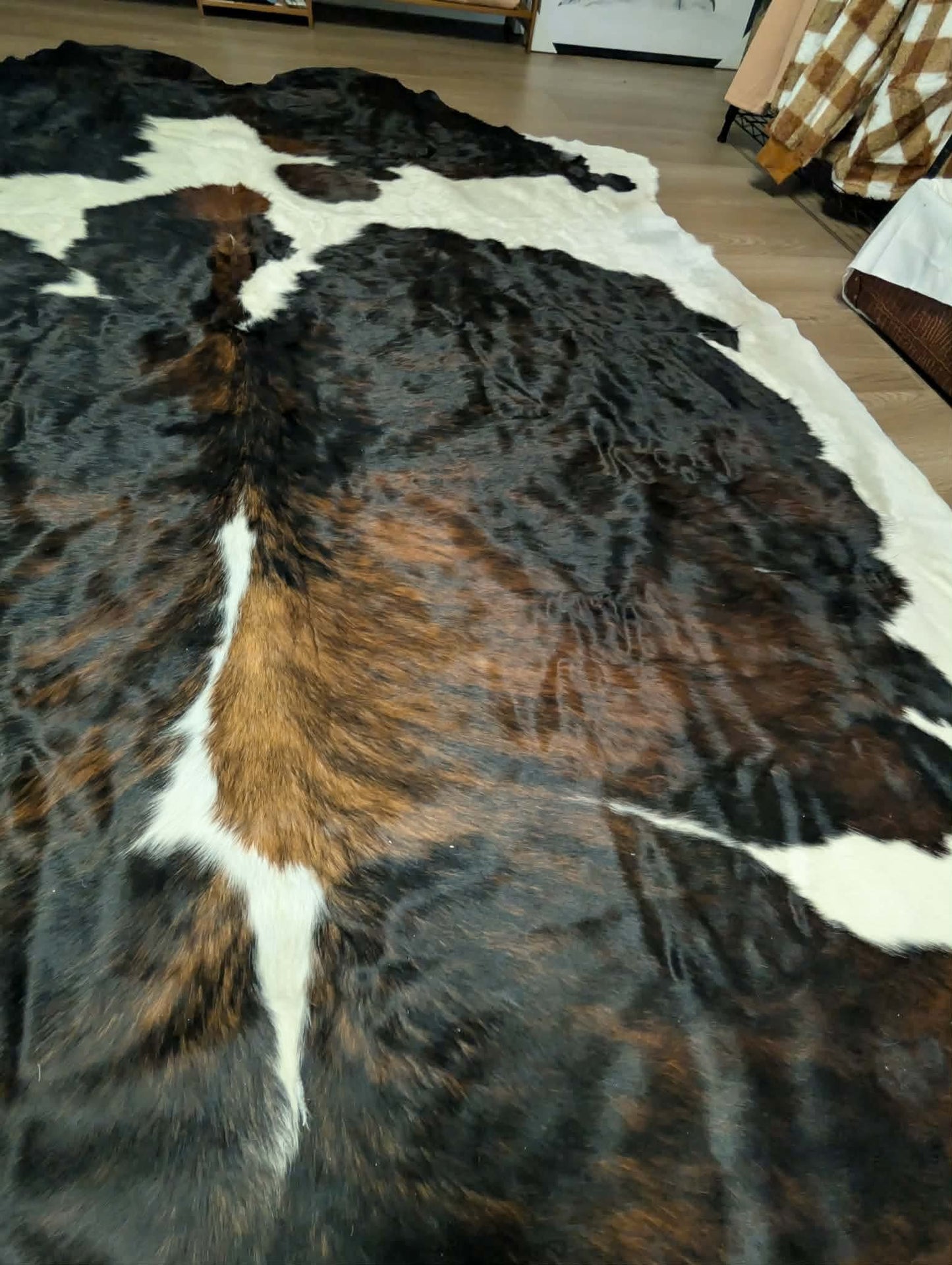 WL Brazilian Cowhide Rug
